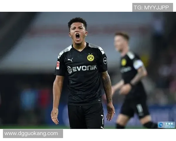 足球鲨翼:探索海洋与足球的奇妙结合与未来发展潜力 足球鲨翼:探索海洋与足球的奇妙结合与未来发展潜力