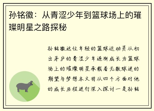 孙铭徽：从青涩少年到篮球场上的璀璨明星之路探秘
